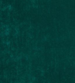 Faze Fabric by Kirkby Design Evergreen