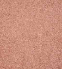 Fergus Fabric by Prestigious Textiles Petal