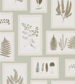 Fern Gallery Wallpaper by Sanderson Blue/Sepia