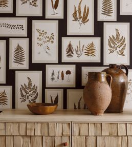 Fern Gallery Wallpaper by Sanderson Blue/Sepia