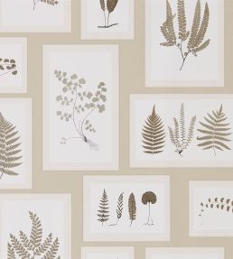 Fern Gallery Wallpaper by Sanderson Linen/Sepia