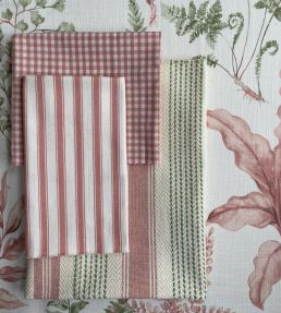 Purbeck Stripe Fabric by Baker Lifestyle Pink/Green