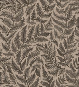 Ferns Wallpaper by Borastapeter Brown