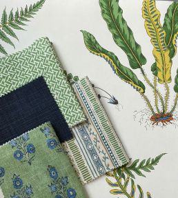 Ferns Wallpaper by GP & J Baker Verdigris