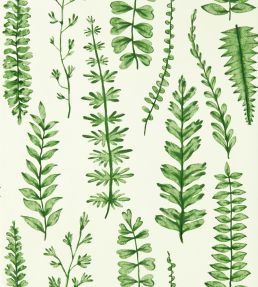 Ferns Wallpaper by Scion Juniper