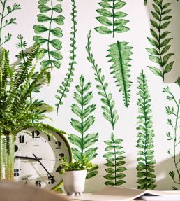 Ferns Wallpaper by Scion Juniper
