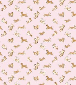 Fete De Chien Wallpaper by Scalamandre Ballerina Pink And Honey