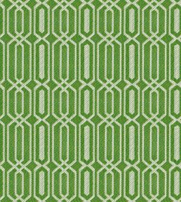 Fiesta Fabric by Warwick Applesour