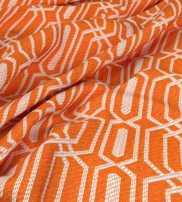 Fiesta Fabric by Warwick Blueberry