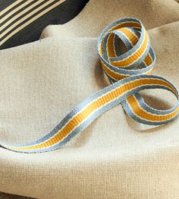 Fineline Stripe Braid Trimming by Ian Mankin Ochre/Mist
