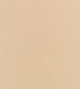 Flax Fabric by Kirkby Design Canvas