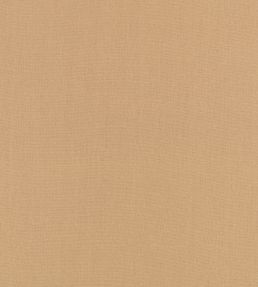 Flax Fabric by Kirkby Design Desert