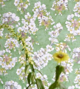 Fleur D'Assam Wallpaper by Designers Guild Platinum
