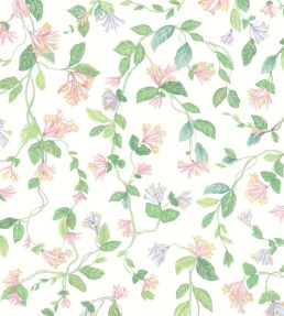 Flora Wallpaper by Cole & Son Blush, Sage, & Mulberry on Cream