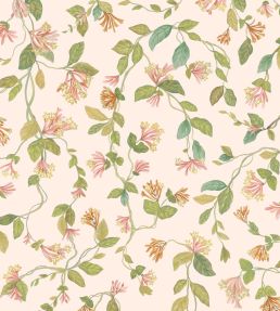Flora Wallpaper by Cole & Son Tangerine & Olive on Blush