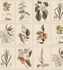 Flora Wallpaper by Sandberg Sepia