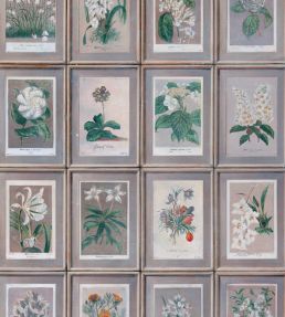 Floral Wallpaper by Andrew Martin Green