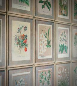 Floral Wallpaper by Andrew Martin Green