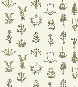 Floral Spot Wallpaper by Josephine Munsey Chaingate Green/Meadow