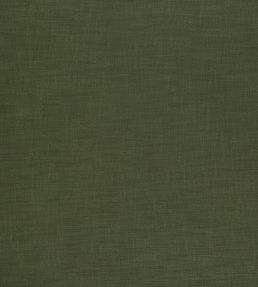 Florenzo Fabric by Ashley Wilde Forest