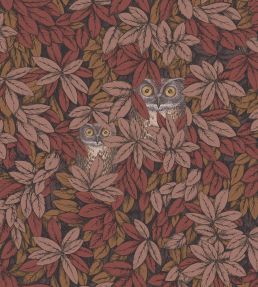 Foglie e Civette Wallpaper by Cole & Son Autumnal Leaves