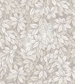 Foglie e Civette Wallpaper by Cole & Son White