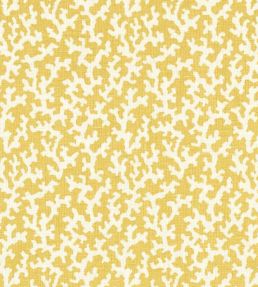 Folly Fabric by Schumacher Mimosa