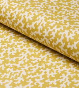 Folly Fabric by Schumacher Mimosa
