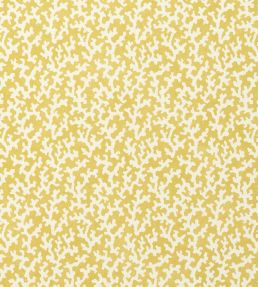 Folly Wallpaper by Schumacher Mimosa