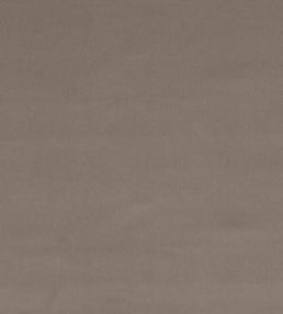 Forenza Fabric by Romo Chamois