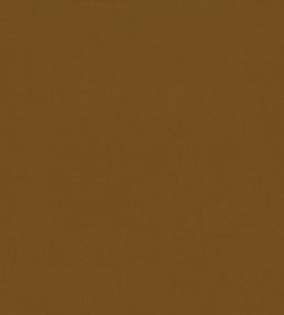Forenza Fabric by Romo Cinnamon