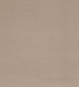 Forenza Fabric by Romo Clay