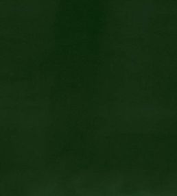 Forenza Fabric by Romo Forest
