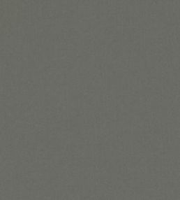 Forenza Fabric by Romo Granite