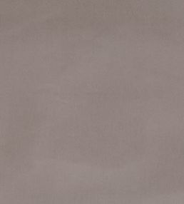 Forenza Fabric by Romo Husk