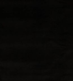 Forenza Fabric by Romo Liquorice