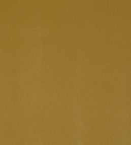 Forenza Fabric by Romo Maize