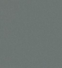 Forenza Fabric by Romo Rosemary
