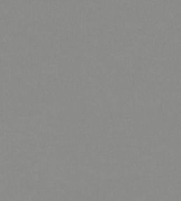 Forenza Fabric by Romo Tweed