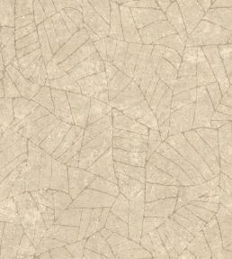 Fragment Wallpaper by Arte Ginseng