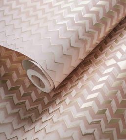 Fragment Wallpaper by Clarke & Clarke Blush/Gold