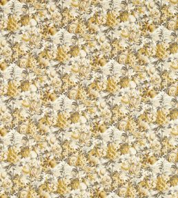 Francis Fabric by Clarke & Clarke Antique/Charcoal