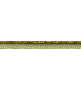 Francoise Cord with Tape Trimming by Samuel & sons Moss