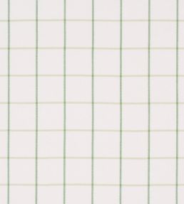 Frannie Windowpane Fabric by Schumacher Leaf Green