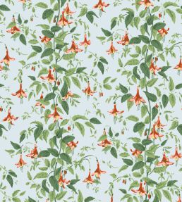 Fuchsia Wallpaper by Cole & Son Coral & Leaf Green on Powder Blue