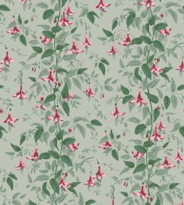 Fuchsia Wallpaper by Cole & Son Dusty Rose & Pale Sage on Soft Laurel