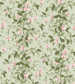 Fuchsia Wallpaper by Cole & Son Powder Pink & Olive on Soft Spring Green