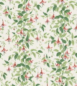 Fuchsia Wallpaper by Cole & Son Rose Pink & Soft Green on Parchment