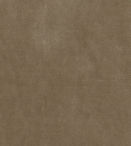 Gabrielle Fabric by Nina Campbell Beige