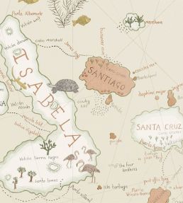 Galapagos Wallpaper by Sanderson Parchment